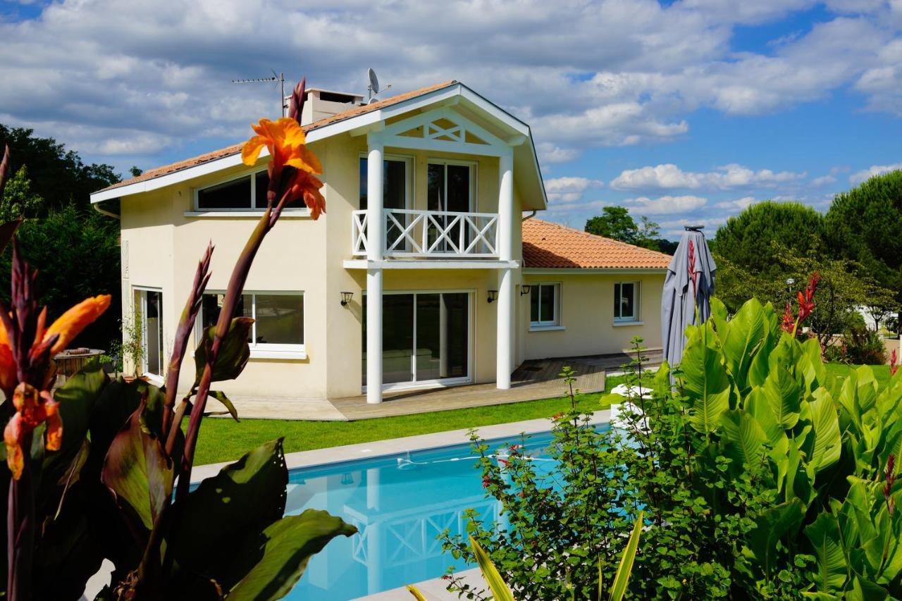Villa Alba. Piscine Grand Jardin Hauts De Bordeaux Carignan-de-Bordeaux Kültér fotó