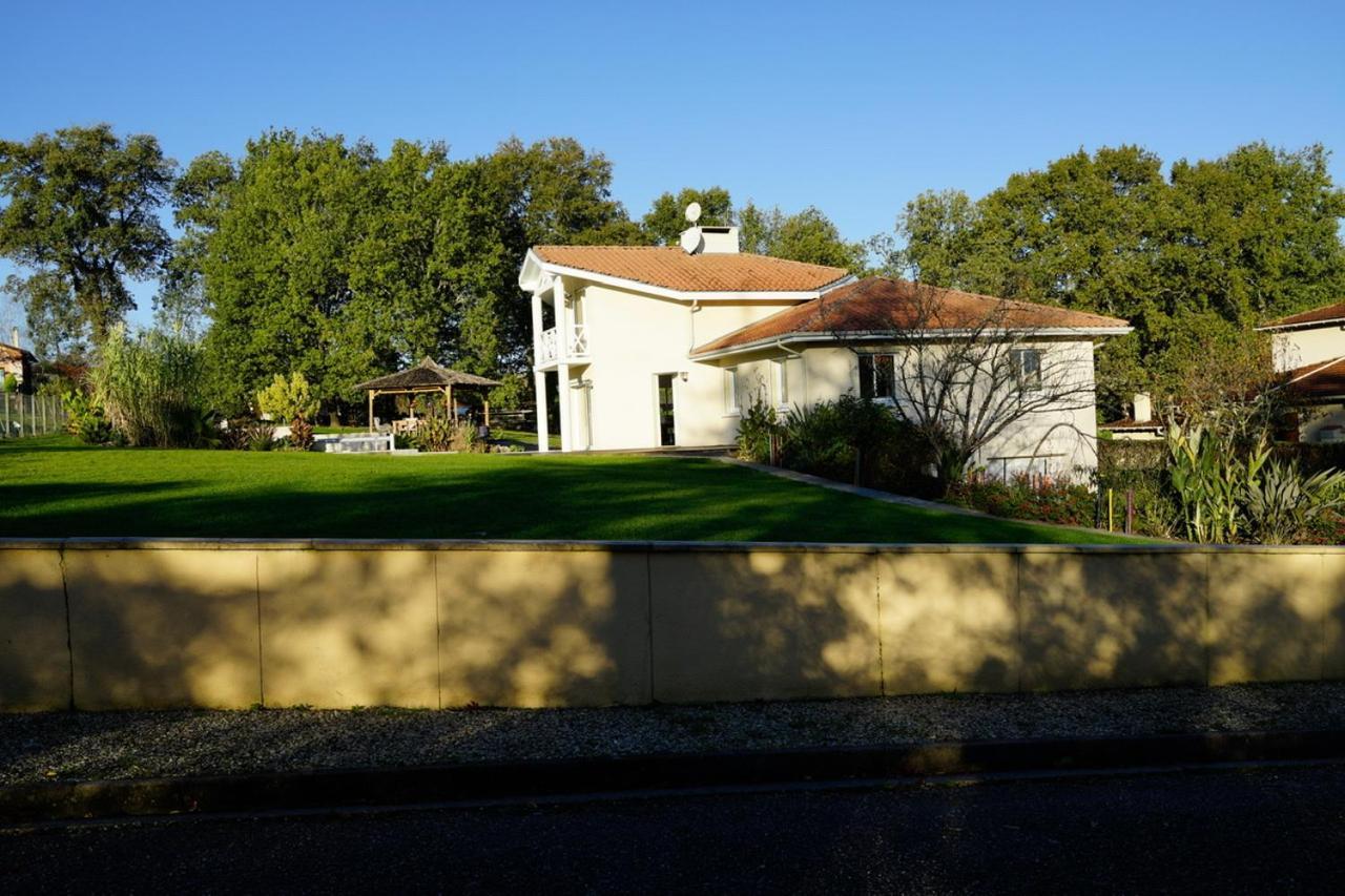 Villa Alba. Piscine Grand Jardin Hauts De Bordeaux Carignan-de-Bordeaux Kültér fotó